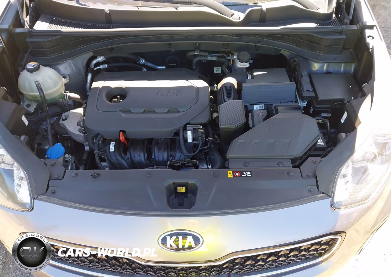 2017 Kia Sportage Lx VIN:KNDPMCAC3H7261039 - 10