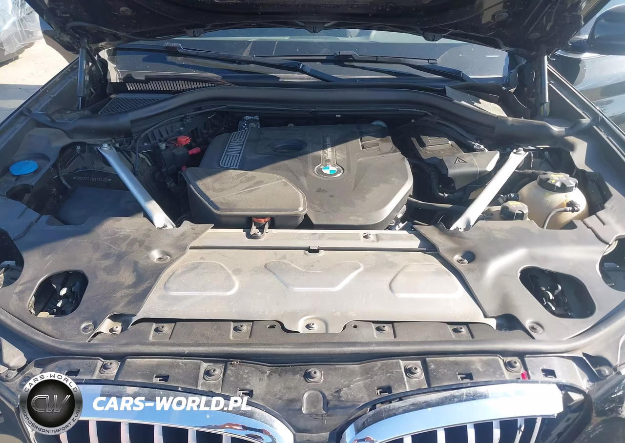 2019 BMW X3 Sdrive30I VIN:5UXTR7C58KLF32490 - 10