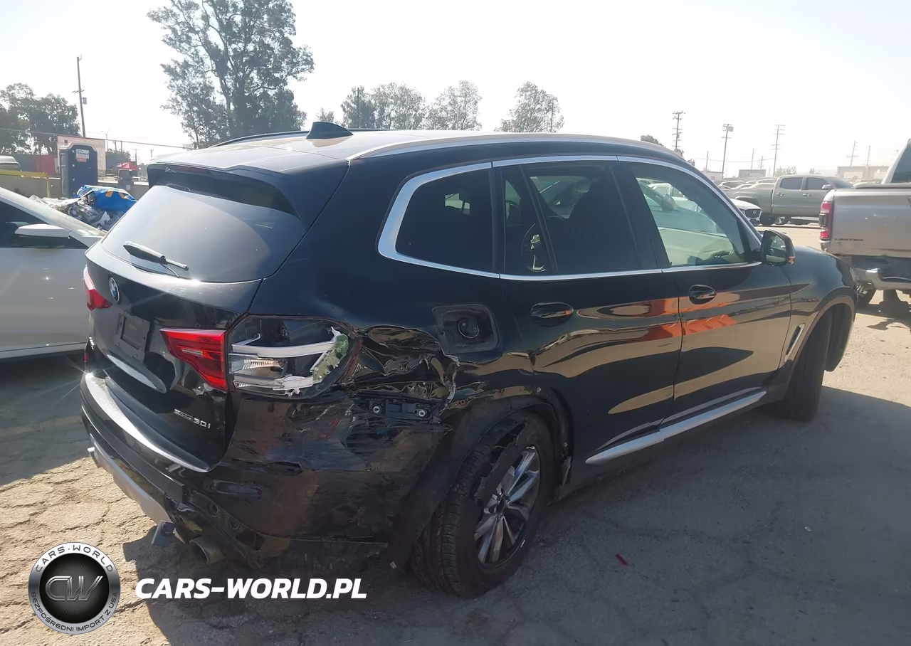 2019 BMW X3 Sdrive30I VIN:5UXTR7C58KLF32490 - 4