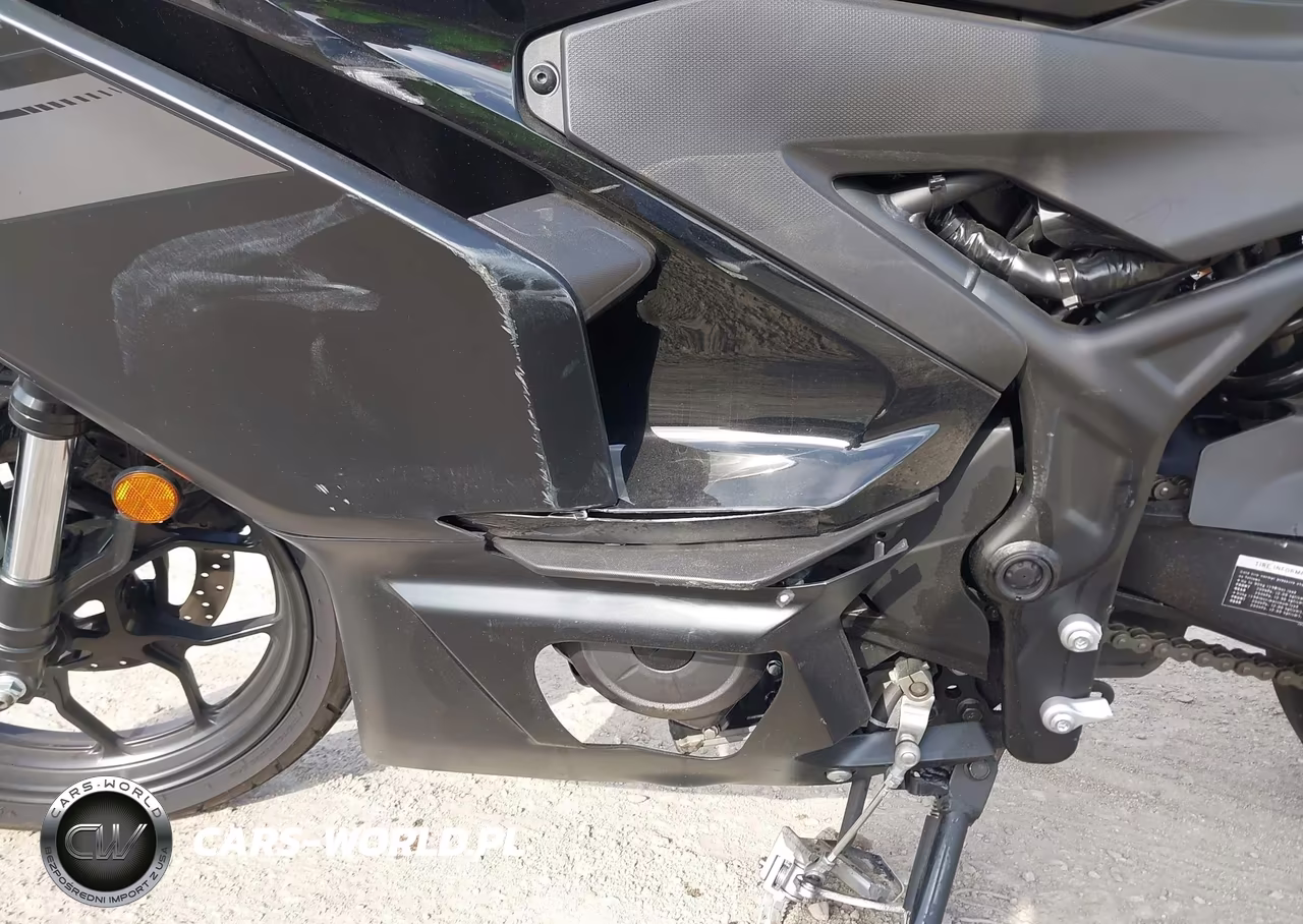 2025 Yamaha Yfz320 Ac VIN:MH3RH25Y6SK001513 - 9