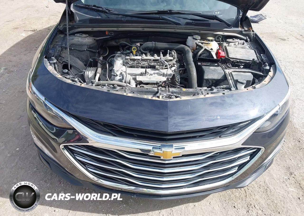 2023 Chevrolet Malibu Fwd 1Lt VIN:1G1ZD5ST4PF221519 - 10