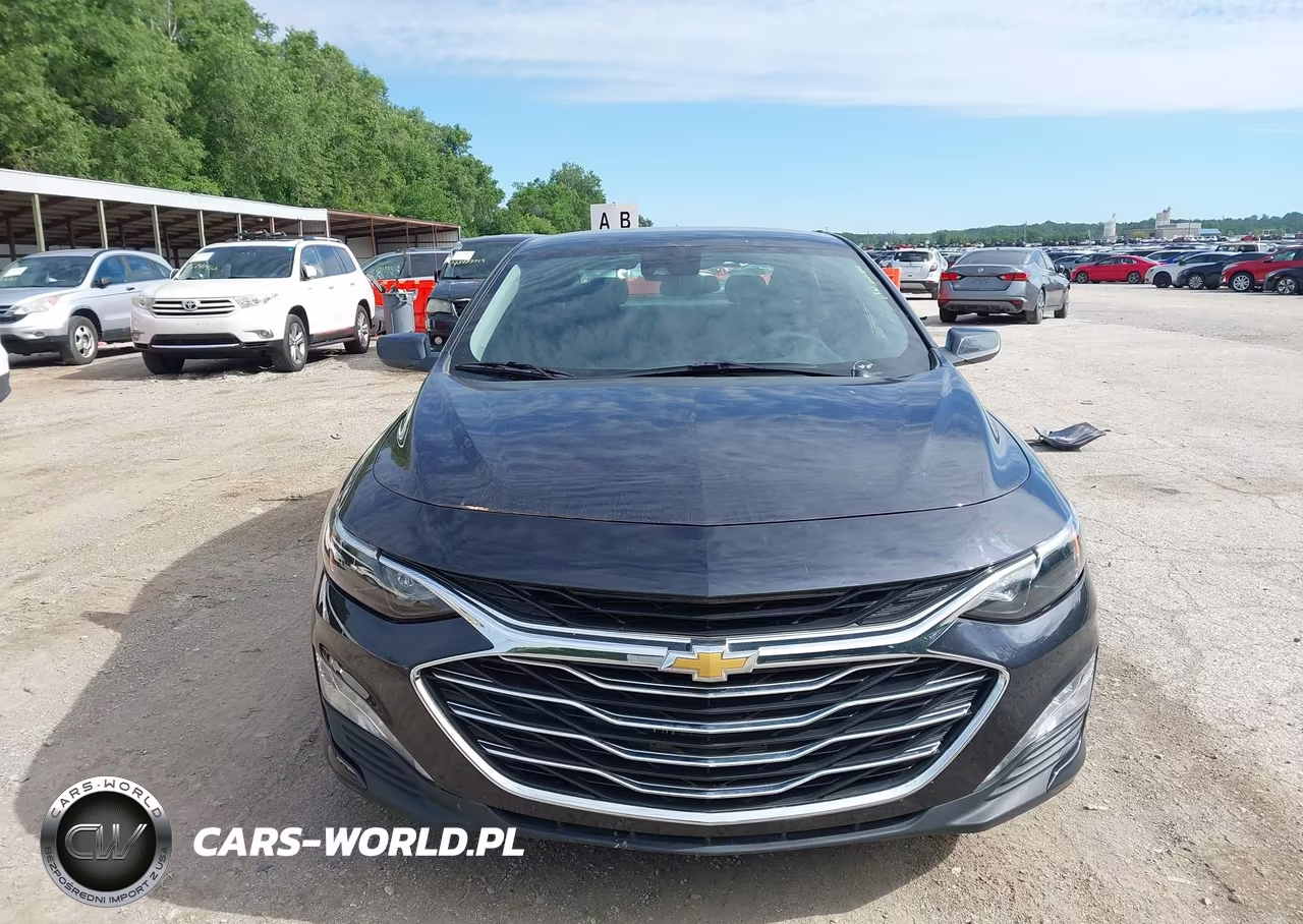 2023 Chevrolet Malibu Fwd 1Lt VIN:1G1ZD5ST4PF221519 - 12