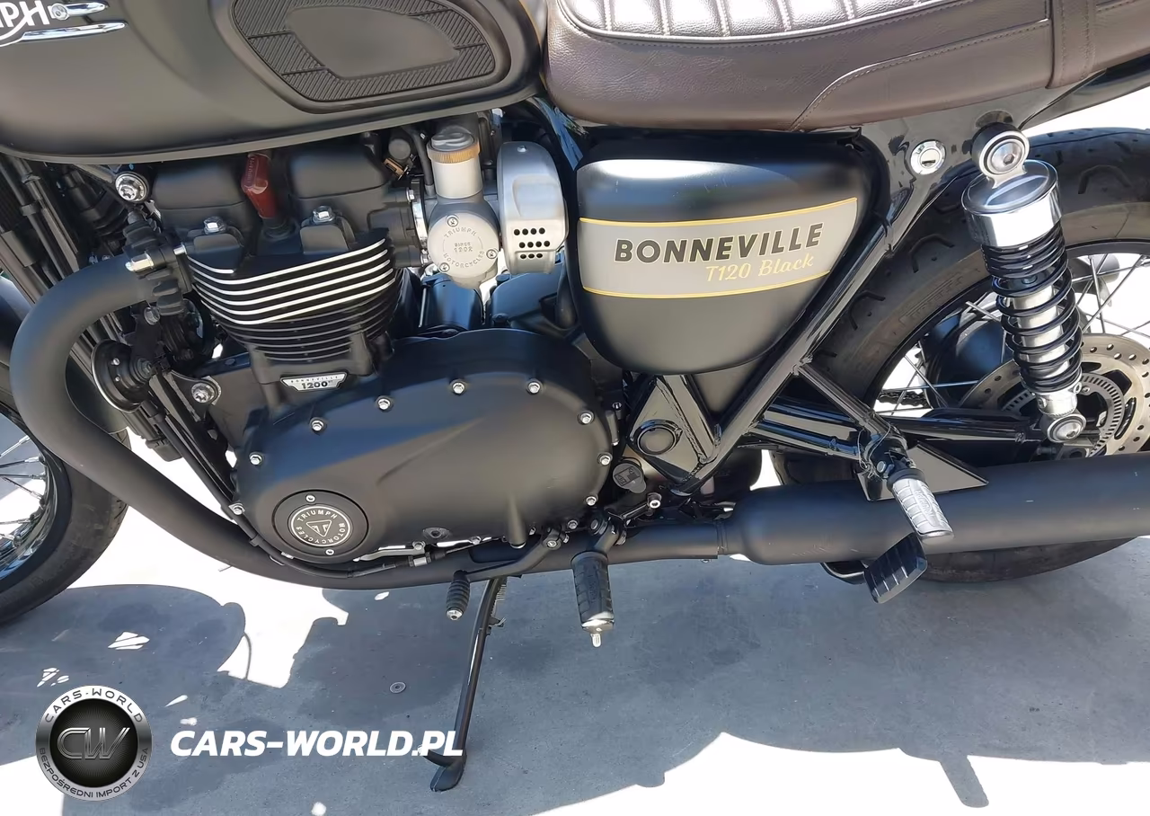 2022 Triumph Motorcycle Bonneville T120-Black VIN:SMTD40HL8NTAW7041 - 9