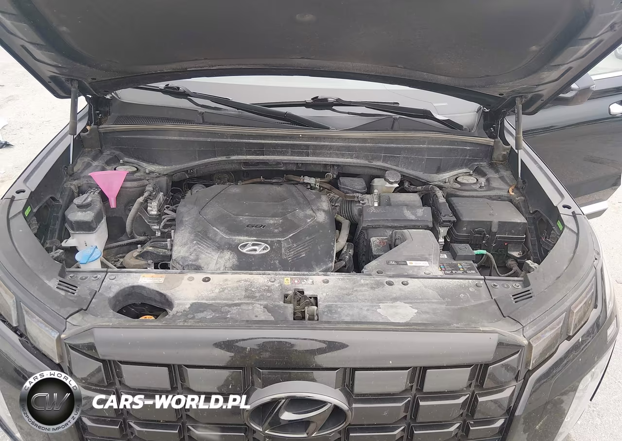 2023 Hyundai Palisade Se VIN:KM8R1DGE6PU489371 - 10