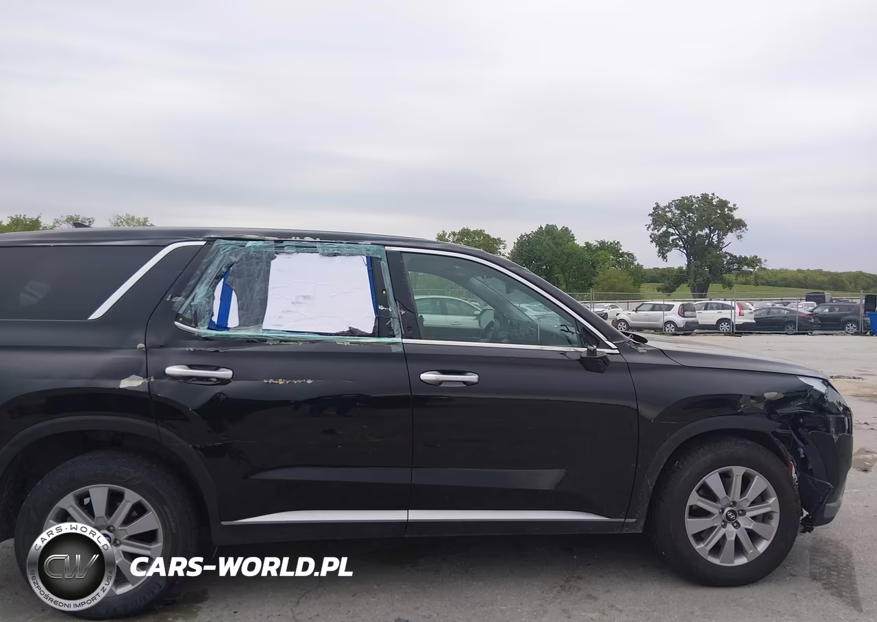 2023 Hyundai Palisade Se VIN:KM8R1DGE6PU489371 - 6