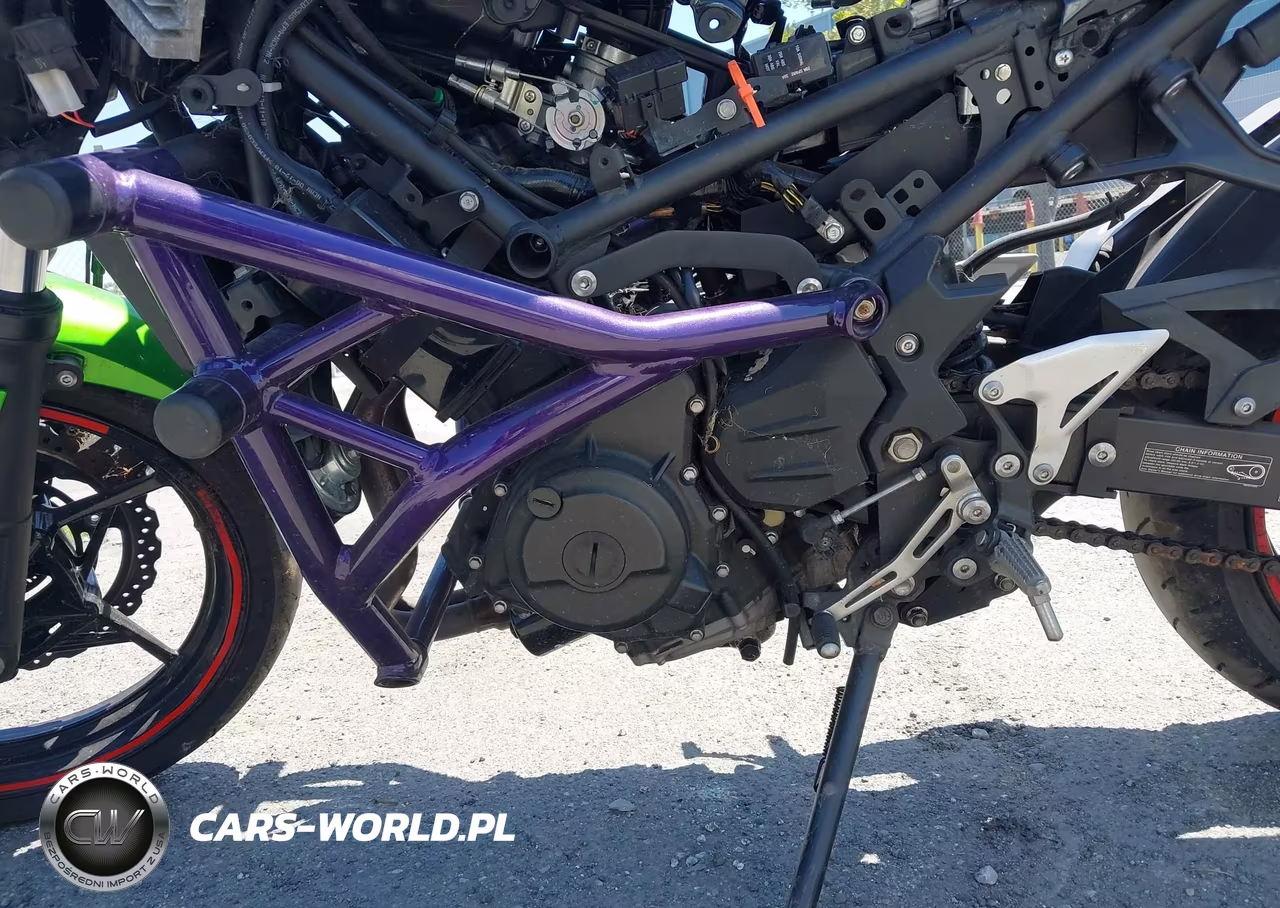 2019 Kawasaki Er400 D VIN:JKAERKD19KDA39785 - 9