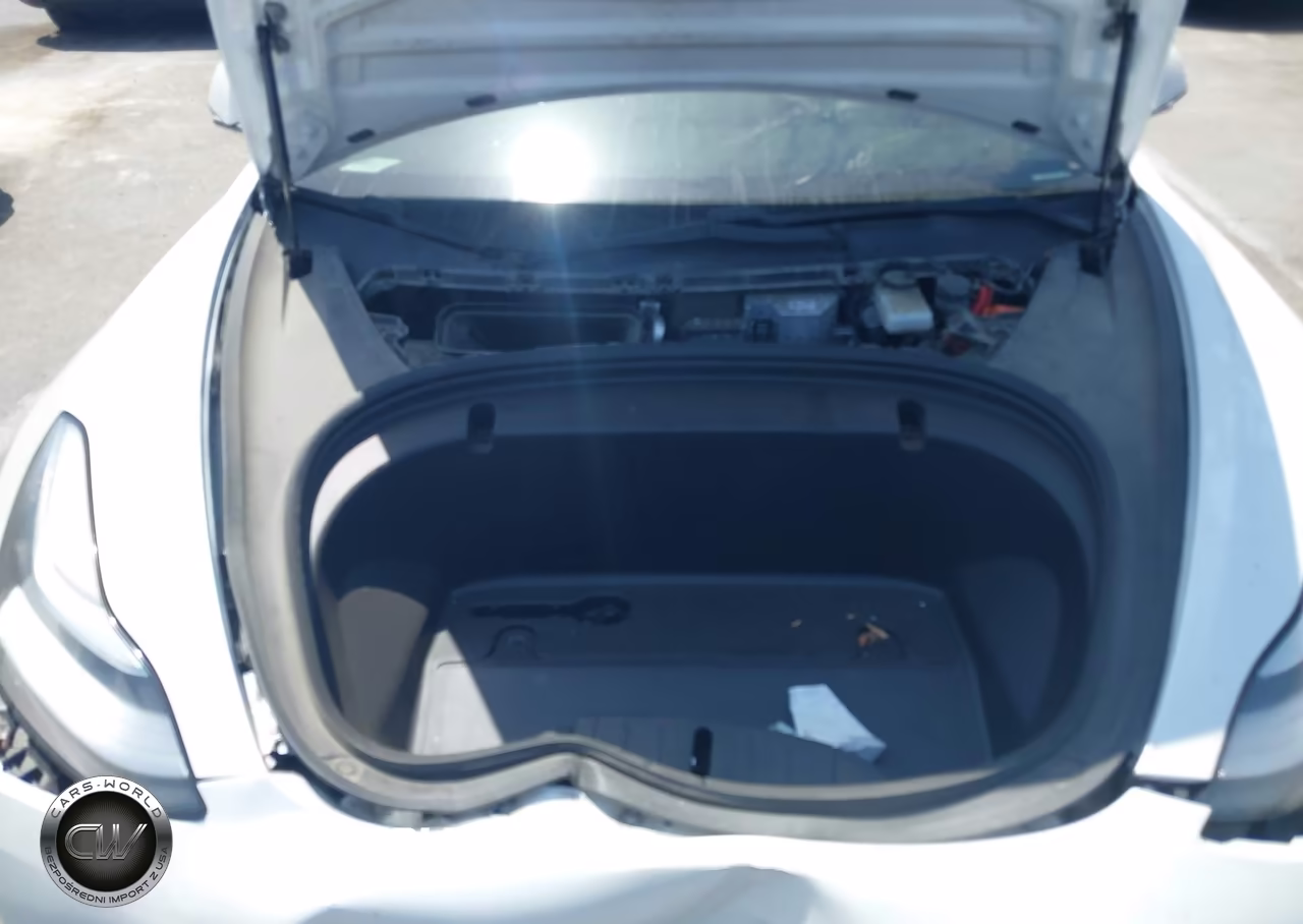 2020 Tesla Model 3 Long Range Dual Motor All-Wheel Drive VIN:5YJ3E1EB7LF651601 - 10