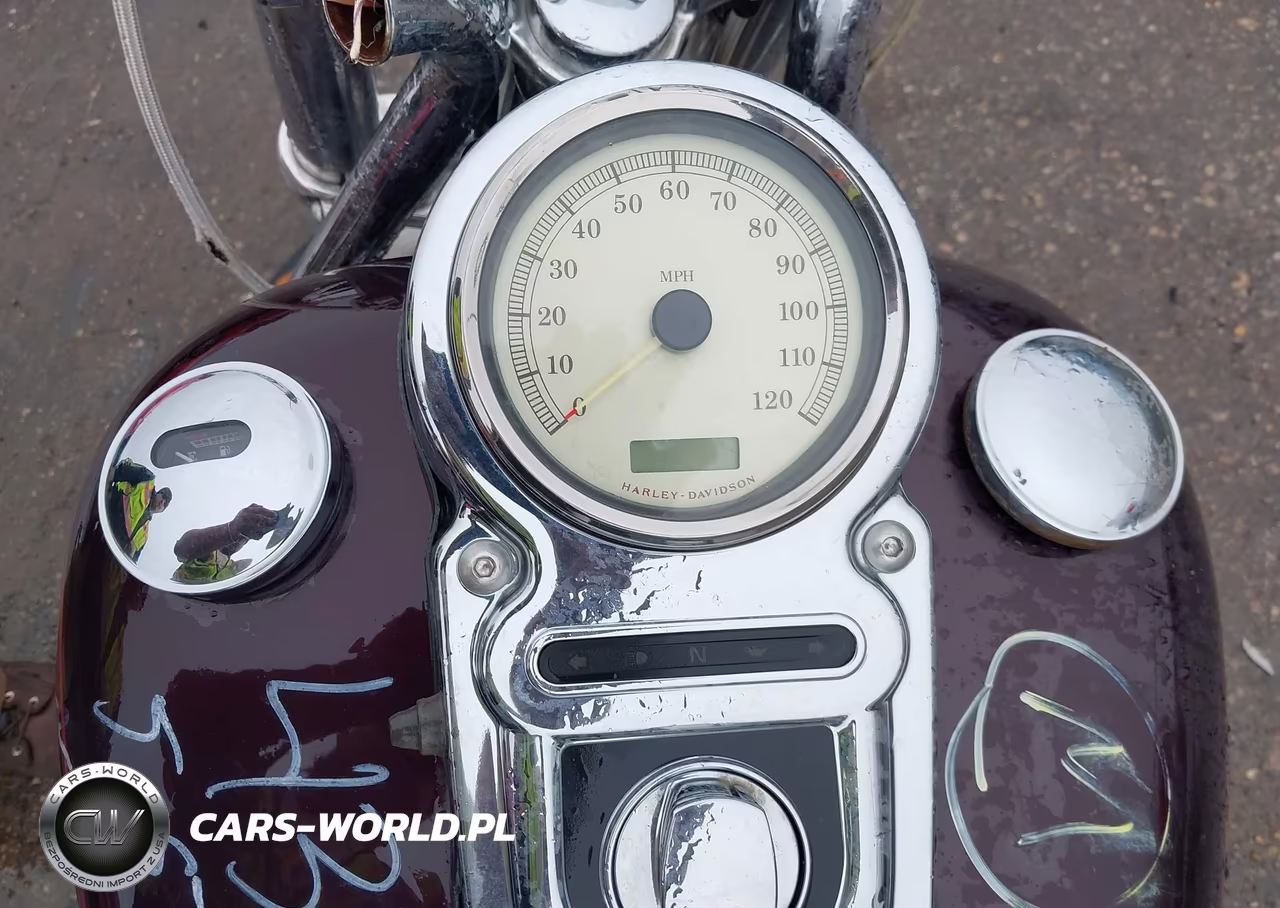 2007 Harley-Davidson Fxdc Daytona Custom VIN:1HD1GV4177K325466 - 7