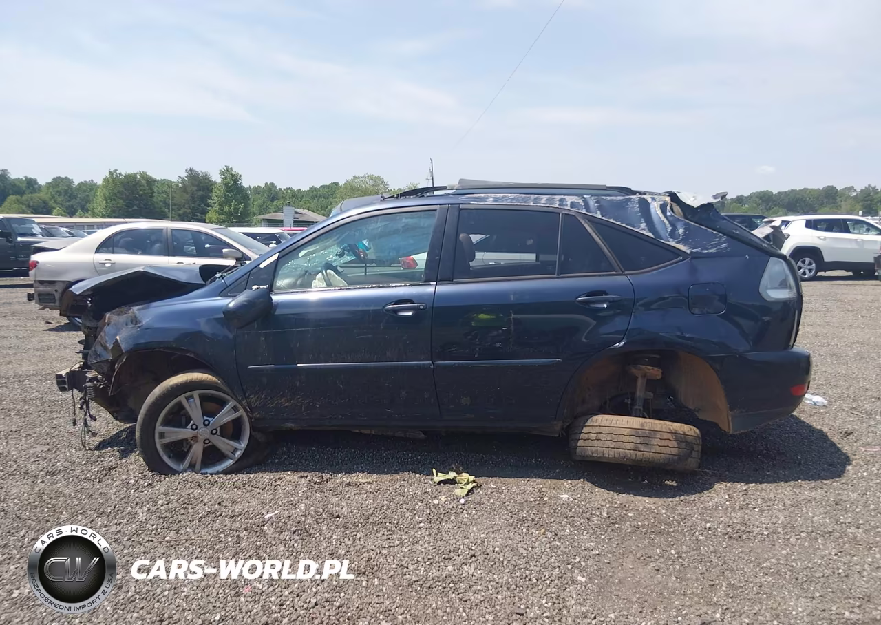 2006 Lexus Rx 400H VIN:JTJHW31UX60012991 - 14