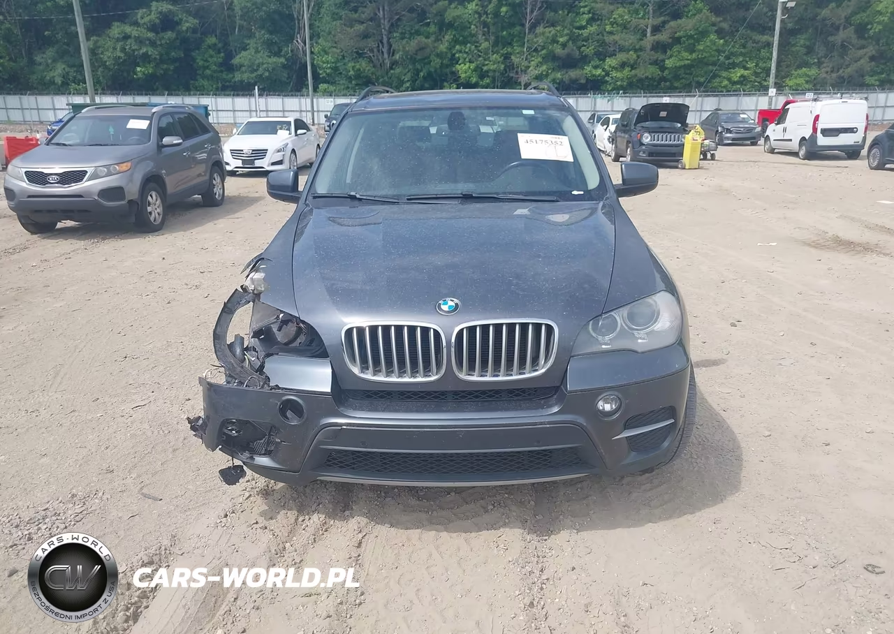 2013 BMW X5 xDrive35I-xDrive35I Premium-xDrive35I Sport Activity VIN:5UXZV4C56D0G54905 - 12