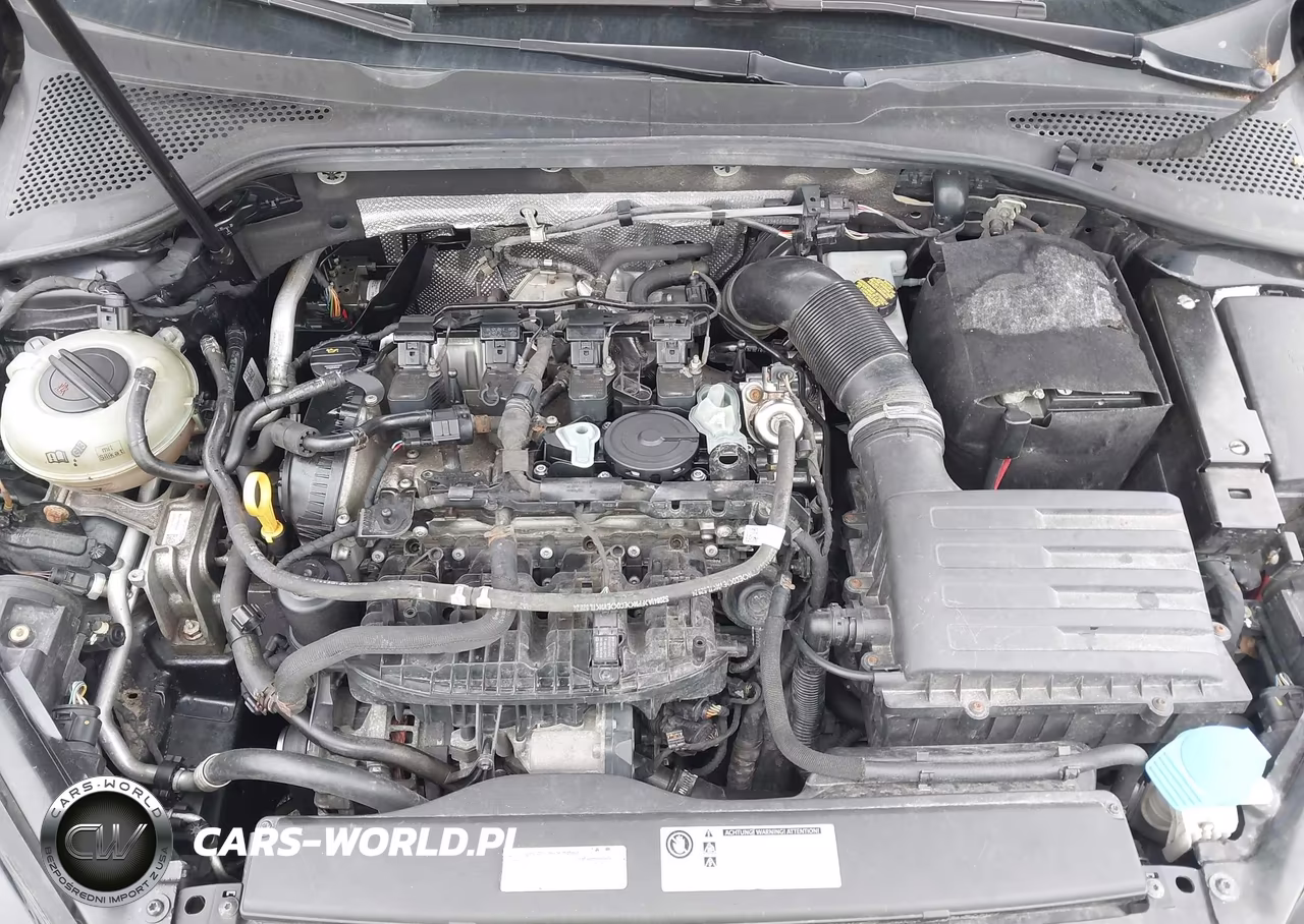 2015 Volkswagen Golf Tsi S 4-Door-Tsi Se 4-Door-Tsi Sel 4-Door VIN:3VW217AU8FM048302 - 10