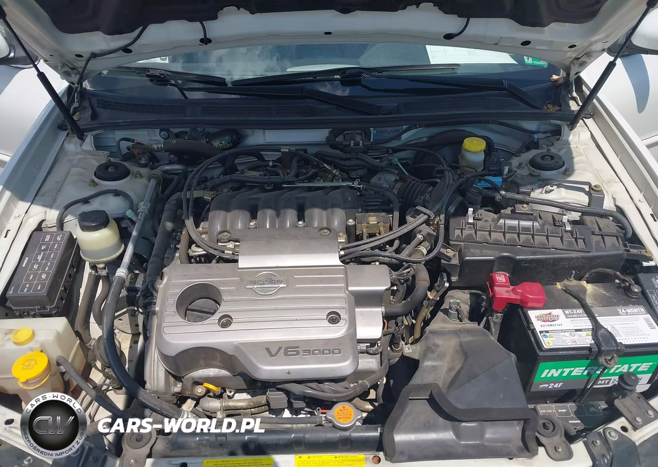 2001 Nissan Maxima Se VIN:JN1CA31A91T304305 - 10