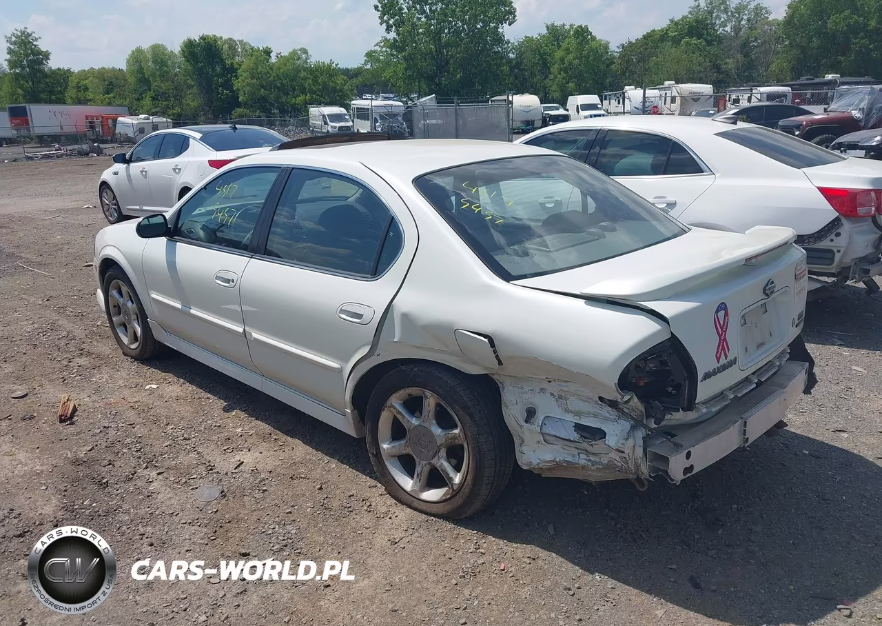 2001 Nissan Maxima Se VIN:JN1CA31A91T304305 - 3