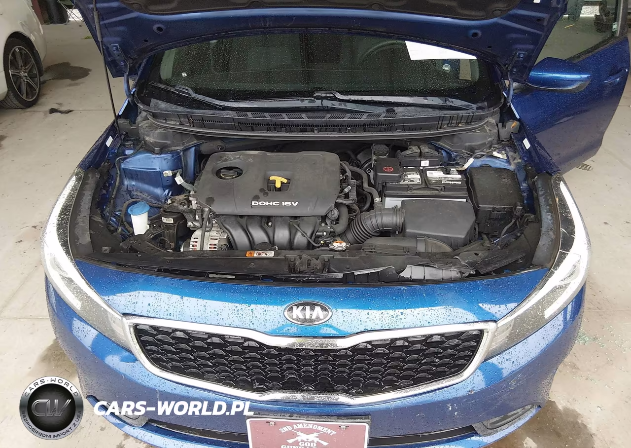 2017 Kia Forte Lx VIN:3KPFK4A78HE146964 - 10