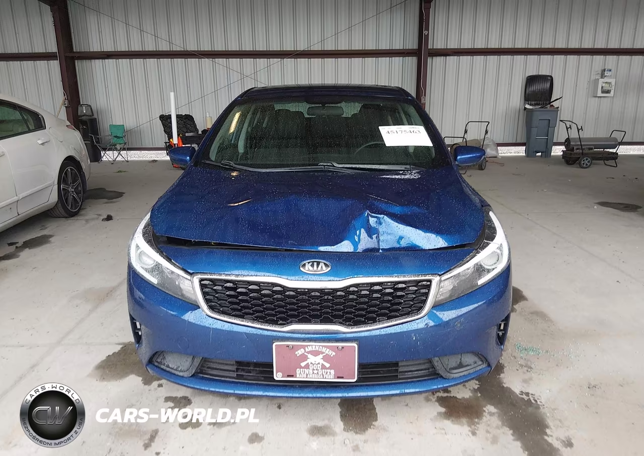 2017 Kia Forte Lx VIN:3KPFK4A78HE146964 - 12