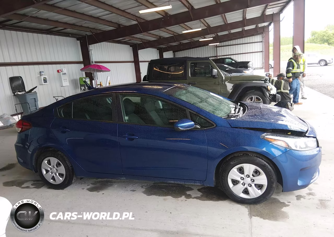 2017 Kia Forte Lx VIN:3KPFK4A78HE146964 - 13
