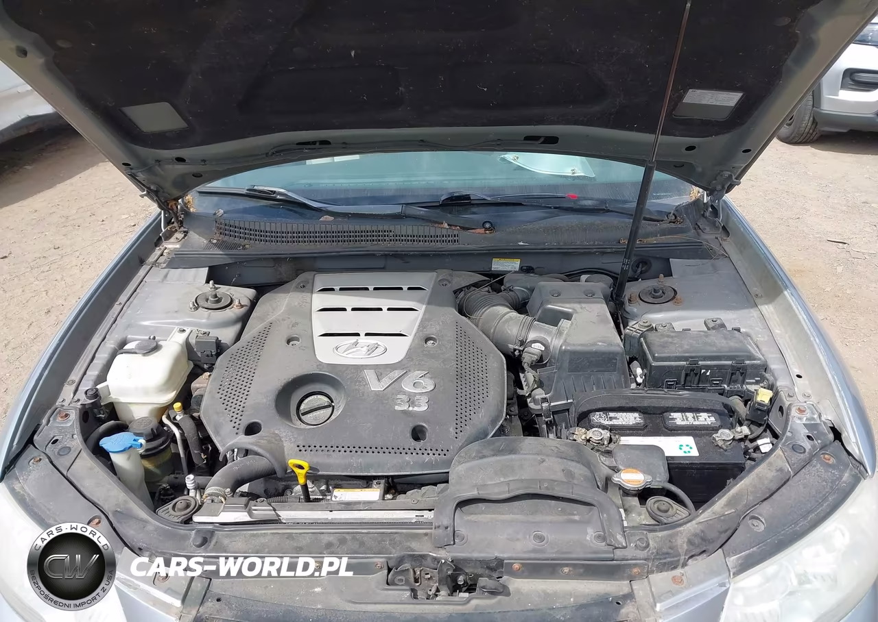 2006 Hyundai Sonata Gls V6-Lx V6 VIN:5NPEU46F86H111842 - 10