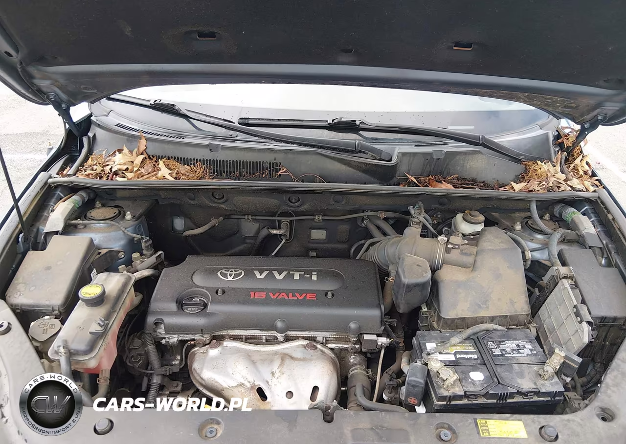 2007 Toyota Rav4 Limited VIN:JTMBD31VX75090277 - 10