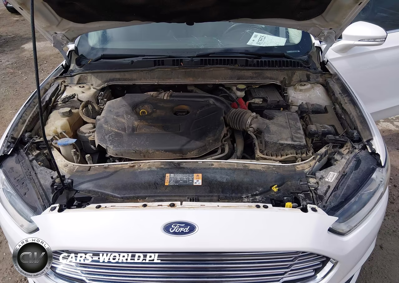2014 Ford Fusion Titanium VIN:3FA6P0D91ER223529 - 10
