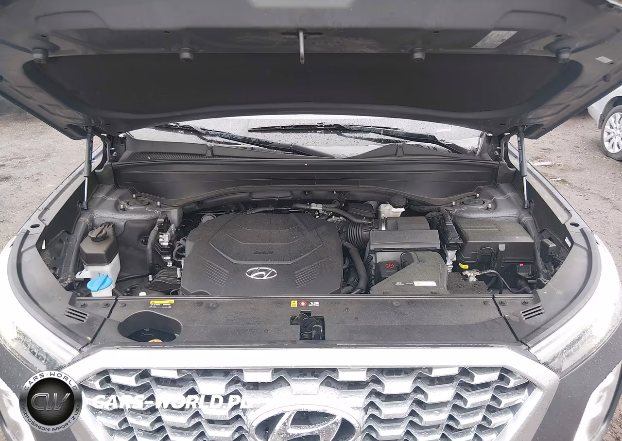 2020 Hyundai Palisade Sel VIN:KM8R34HE6LU163055 - 10