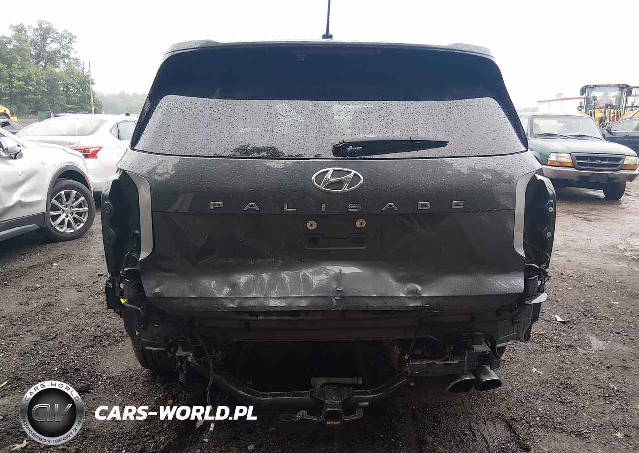 2020 Hyundai Palisade Sel VIN:KM8R34HE6LU163055 - 17