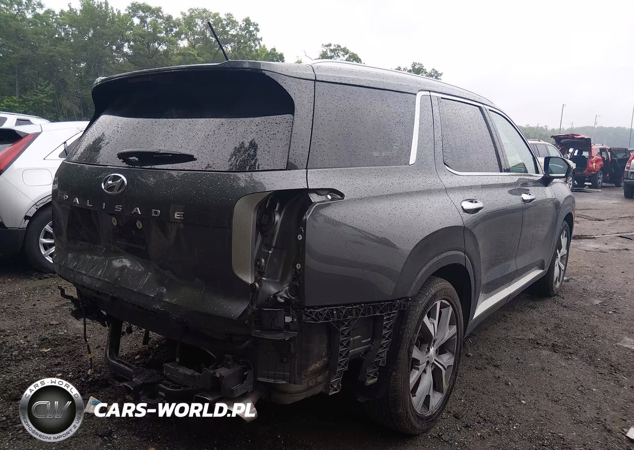 2020 Hyundai Palisade Sel VIN:KM8R34HE6LU163055 - 4