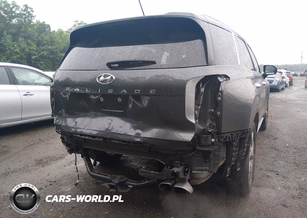 2020 Hyundai Palisade Sel VIN:KM8R34HE6LU163055 - 6