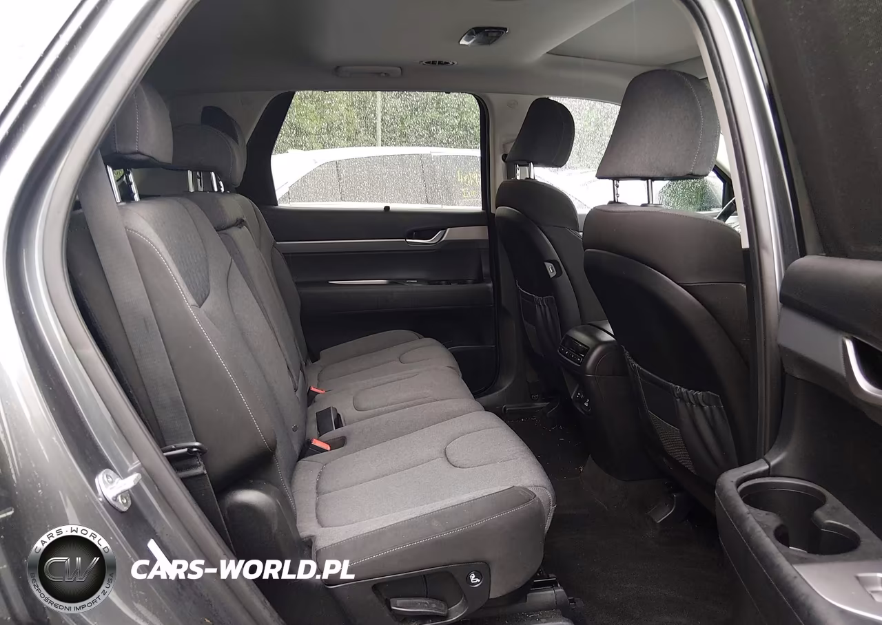 2020 Hyundai Palisade Sel VIN:KM8R34HE6LU163055 - 8