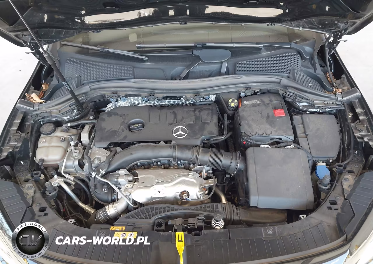 2021 Mercedes-Benz Gla 250 4Matic VIN:W1N4N4HB5MJ162781 - 10