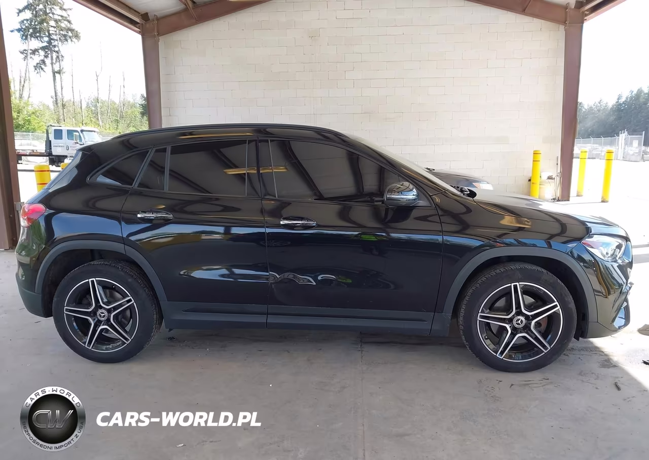 2021 Mercedes-Benz Gla 250 4Matic VIN:W1N4N4HB5MJ162781 - 13