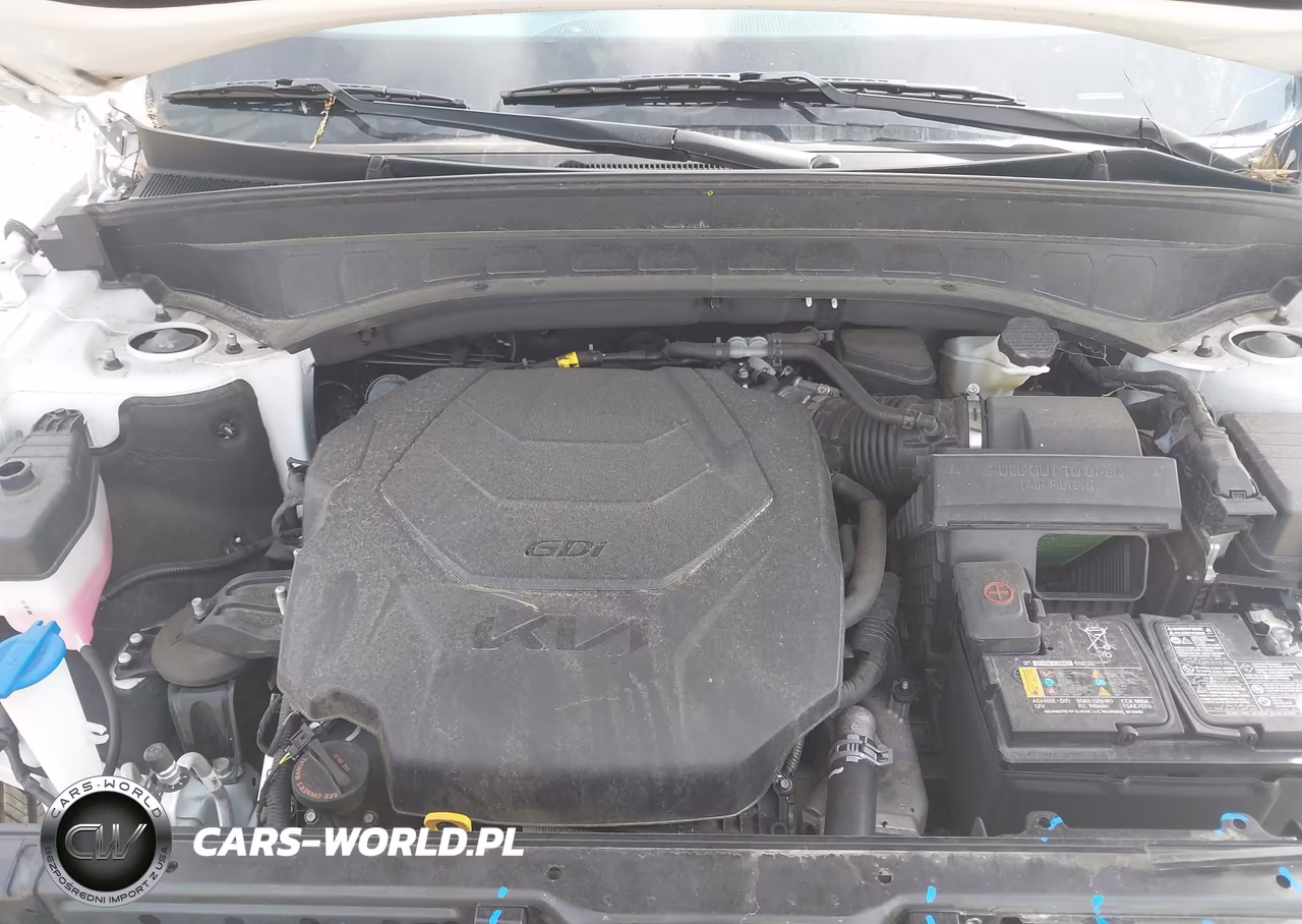 2023 Kia Telluride Ex VIN:5XYP3DGC8PG329093 - 10
