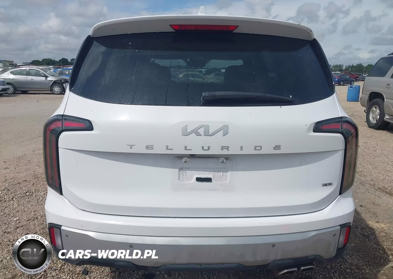 2023 Kia Telluride Ex VIN:5XYP3DGC8PG329093 - 17
