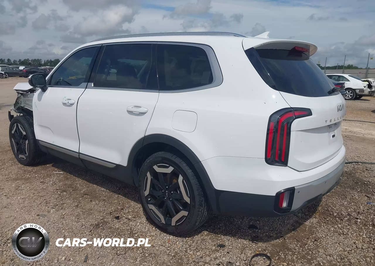 2023 Kia Telluride Ex VIN:5XYP3DGC8PG329093 - 3