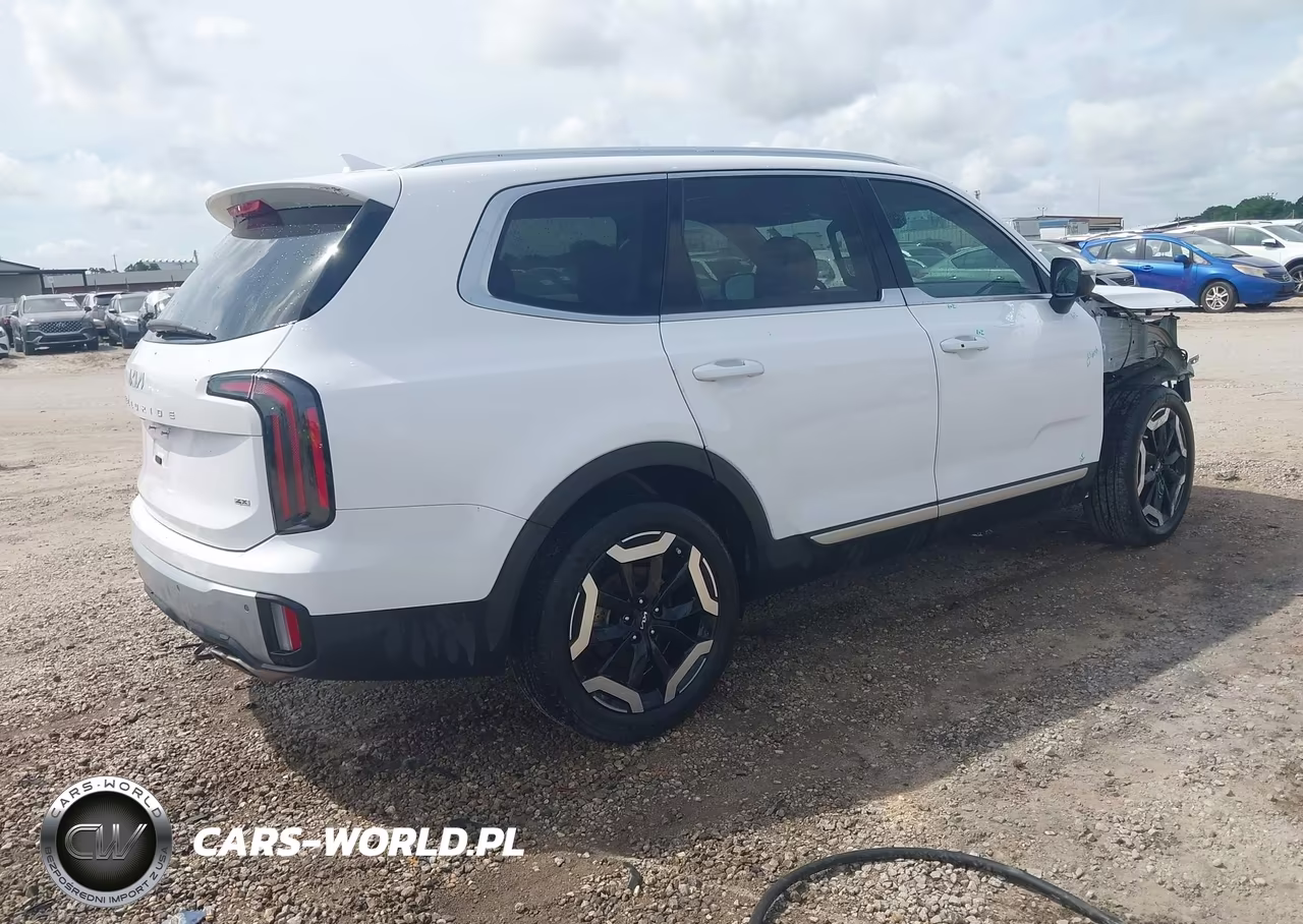 2023 Kia Telluride Ex VIN:5XYP3DGC8PG329093 - 4