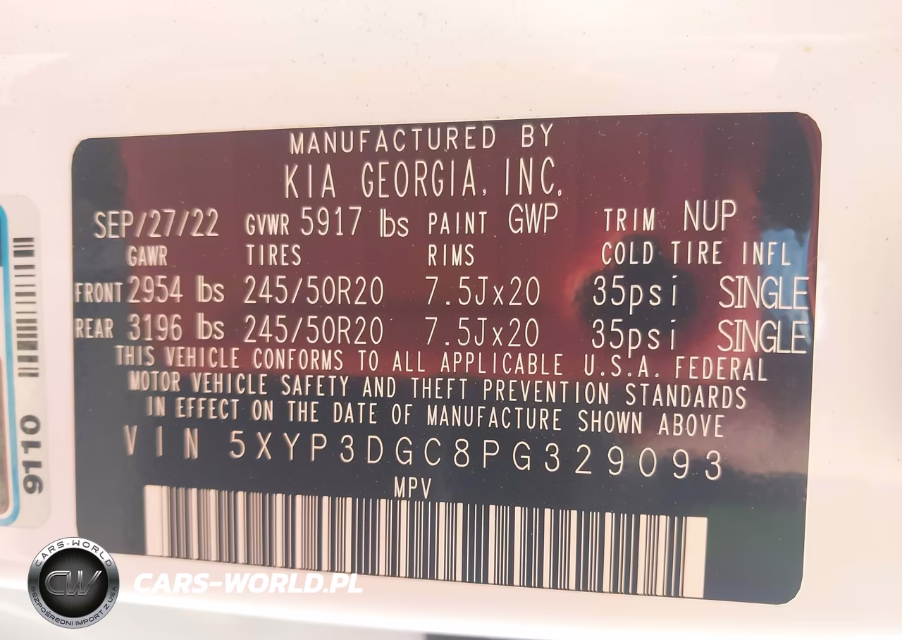 2023 Kia Telluride Ex VIN:5XYP3DGC8PG329093 - 9
