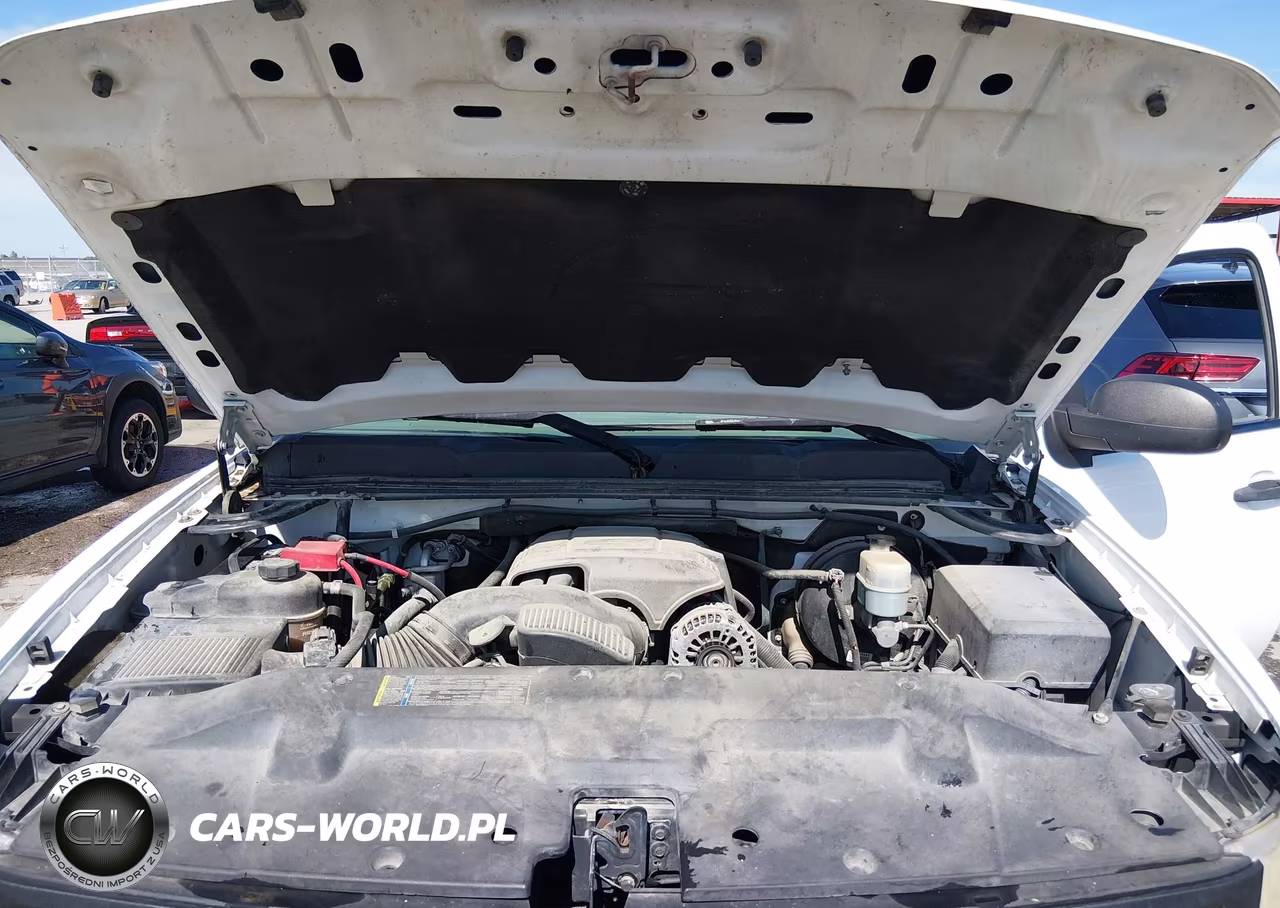 2010 Chevrolet Silverado 1500 Work Truck VIN:1GCSKPE38AZ143046 - 10