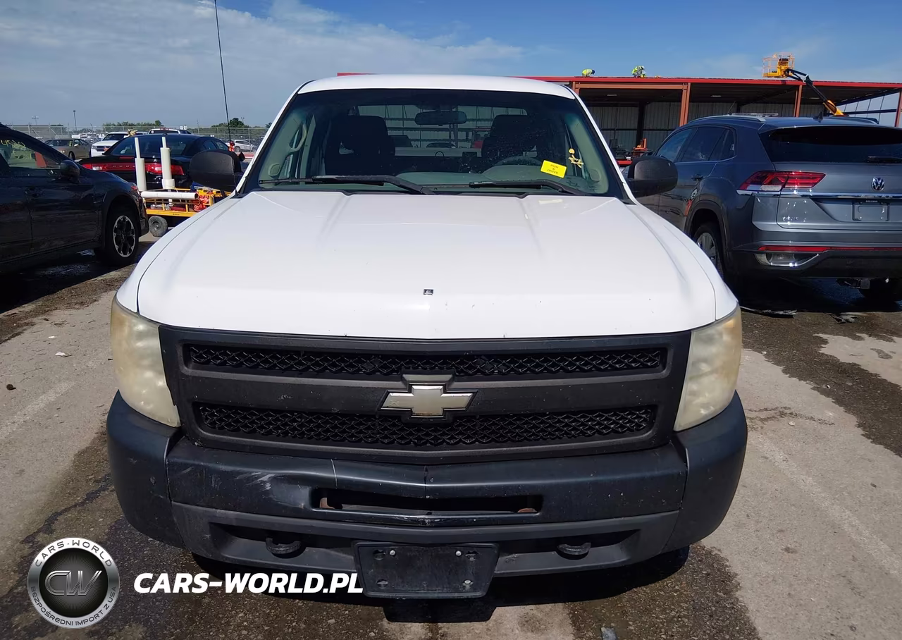 2010 Chevrolet Silverado 1500 Work Truck VIN:1GCSKPE38AZ143046 - 12