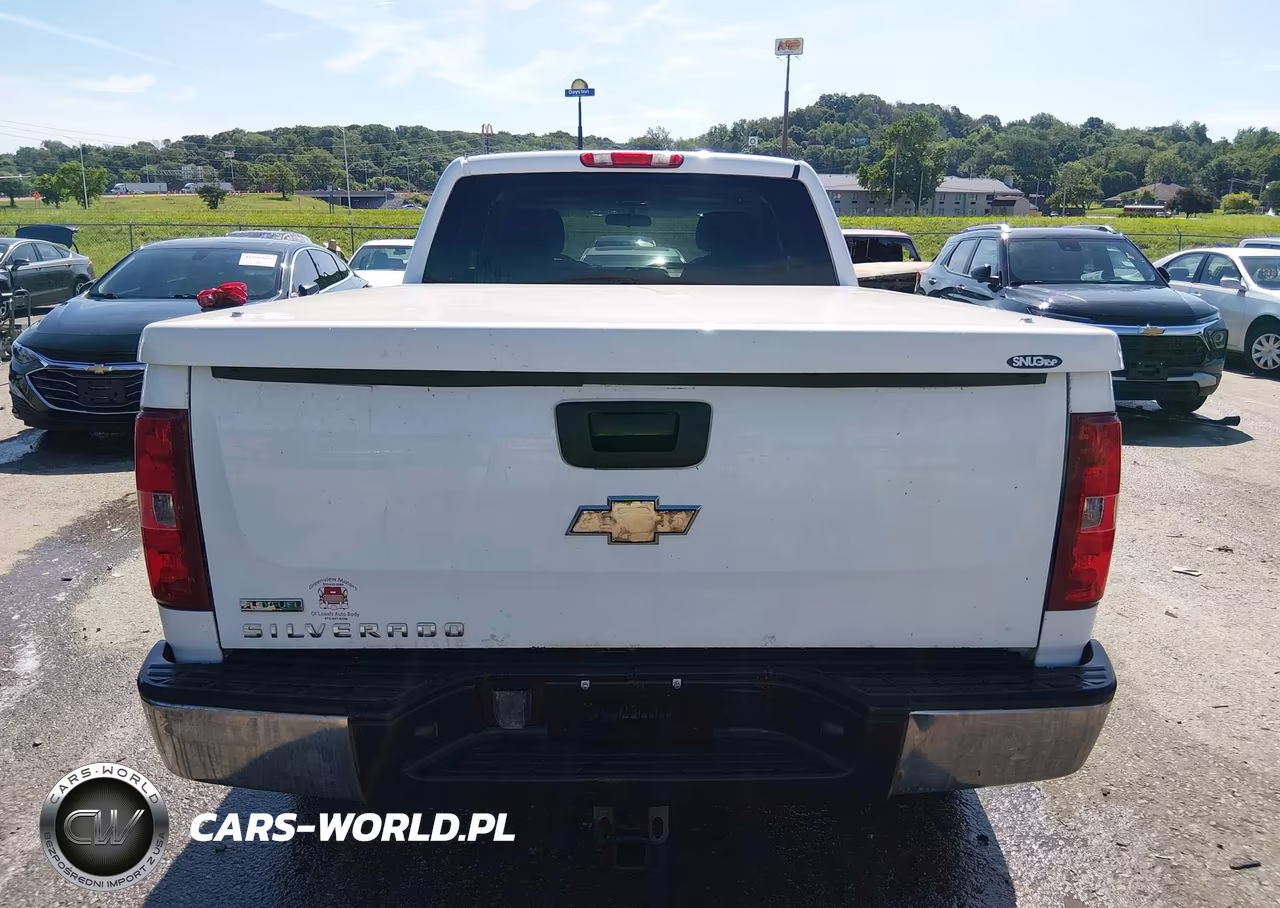 2010 Chevrolet Silverado 1500 Work Truck VIN:1GCSKPE38AZ143046 - 16