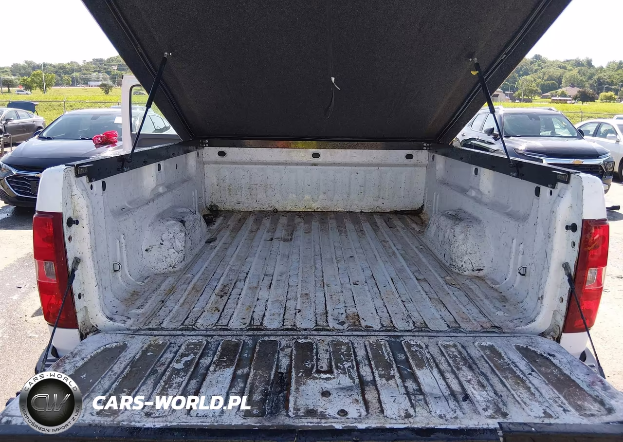 2010 Chevrolet Silverado 1500 Work Truck VIN:1GCSKPE38AZ143046 - 17