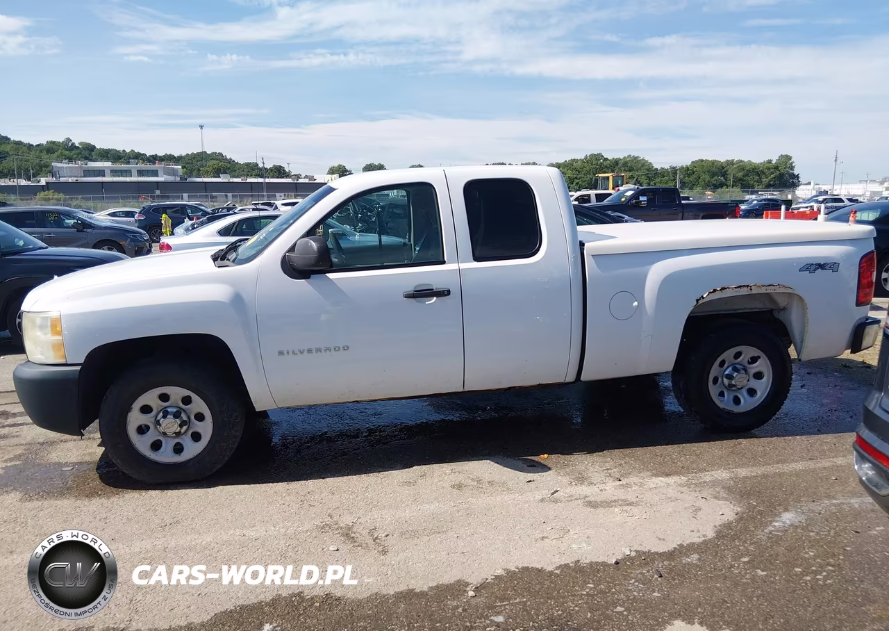 2010 Chevrolet Silverado 1500 Work Truck VIN:1GCSKPE38AZ143046 - 18