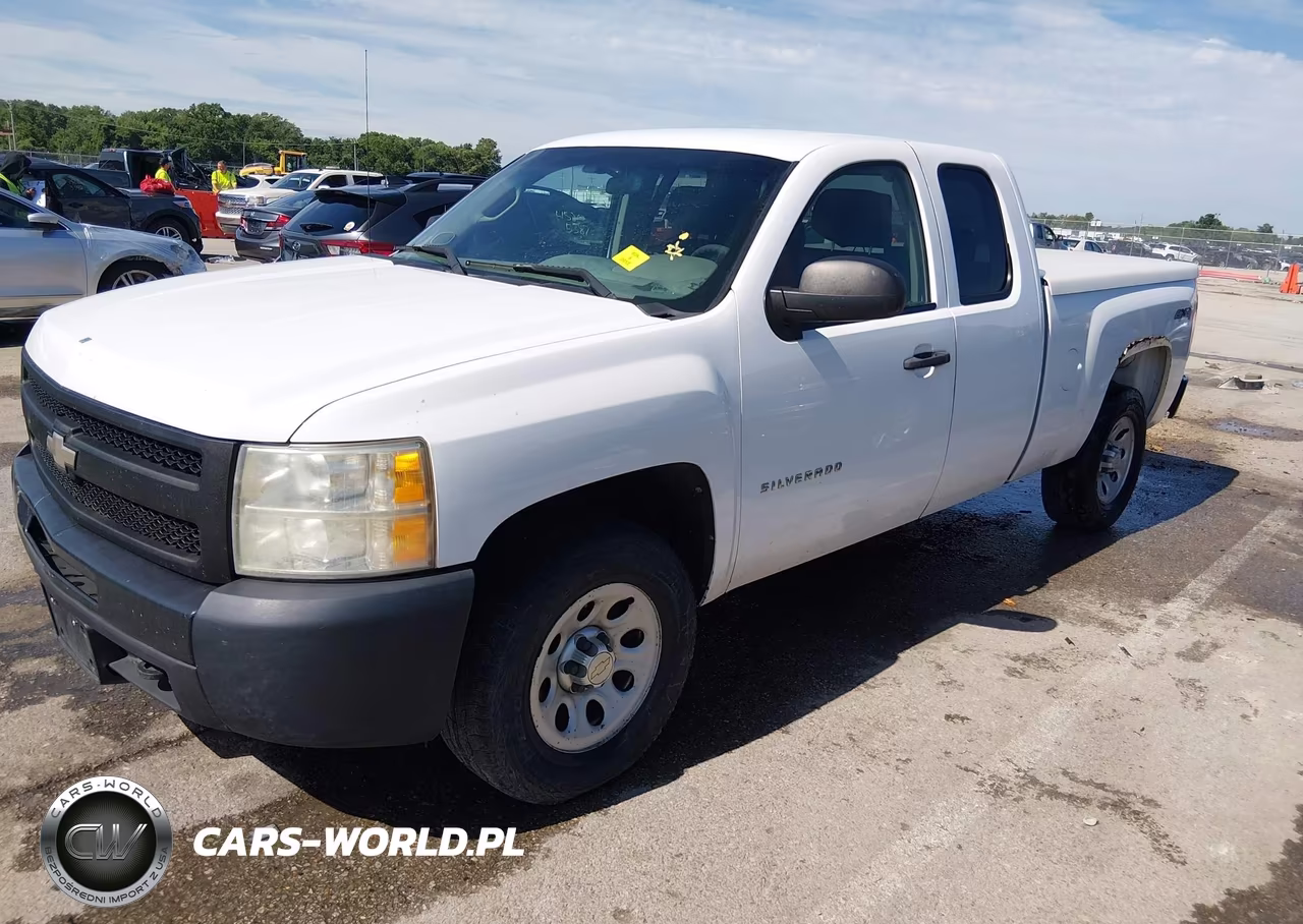 2010 Chevrolet Silverado 1500 Work Truck VIN:1GCSKPE38AZ143046 - 2