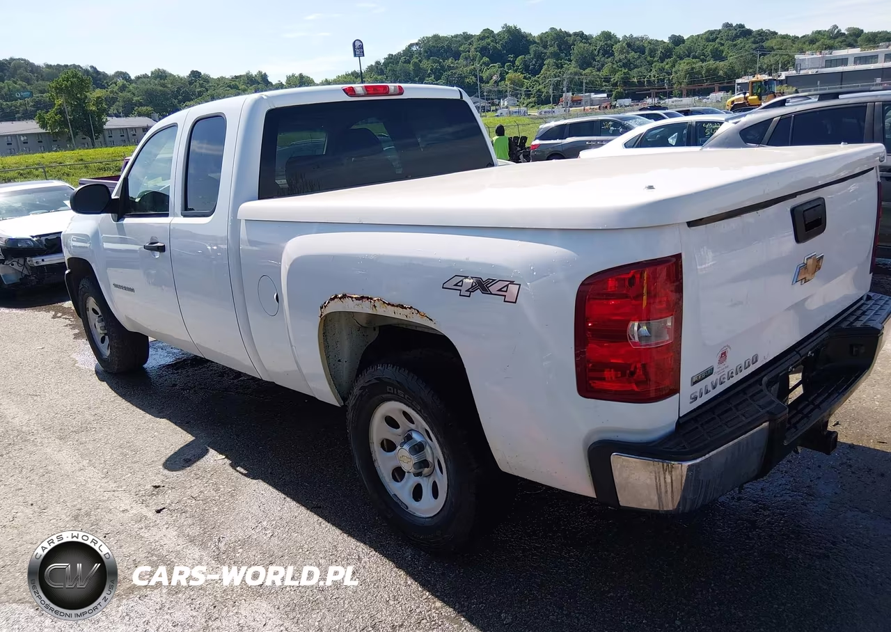 2010 Chevrolet Silverado 1500 Work Truck VIN:1GCSKPE38AZ143046 - 3