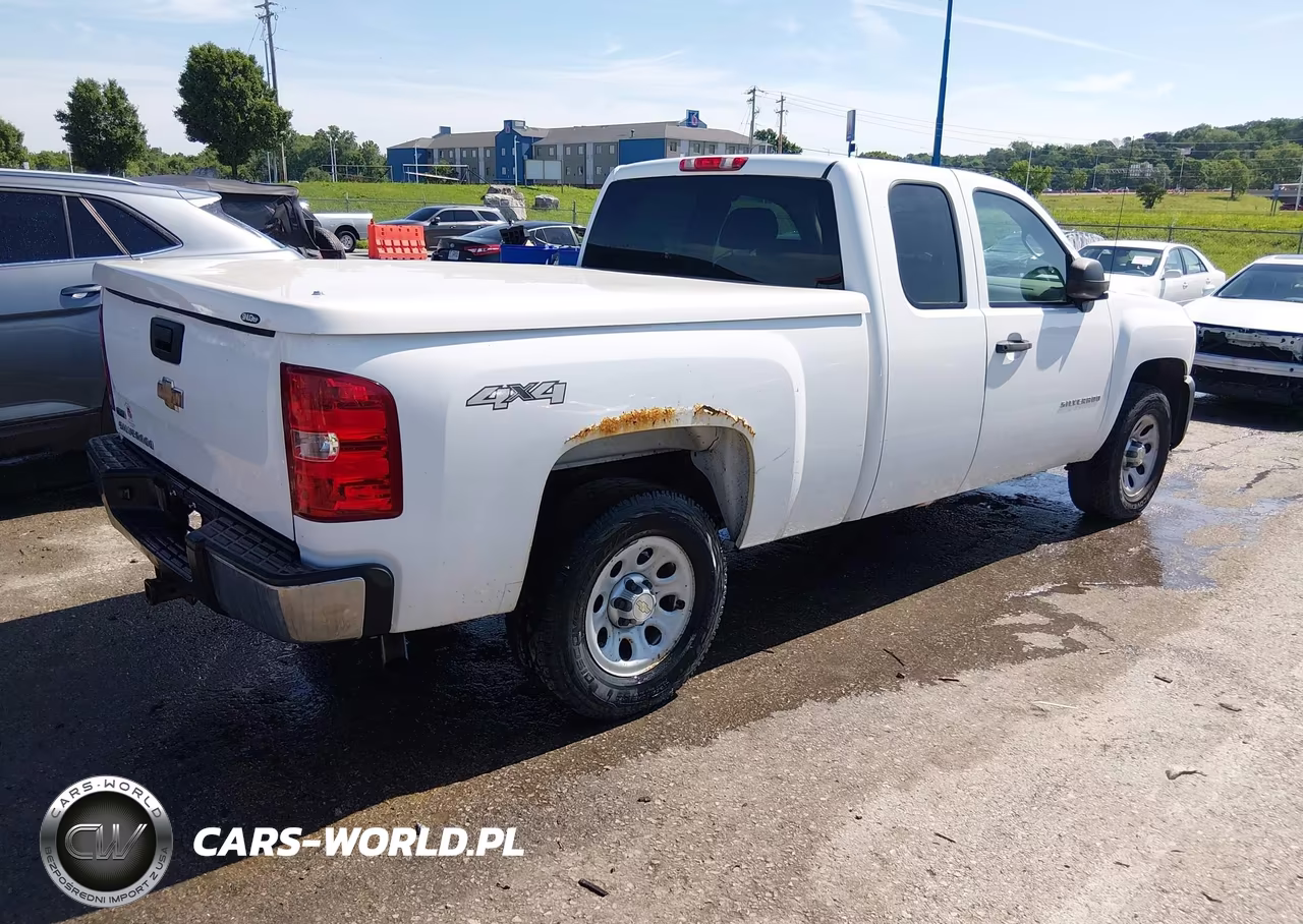 2010 Chevrolet Silverado 1500 Work Truck VIN:1GCSKPE38AZ143046 - 4