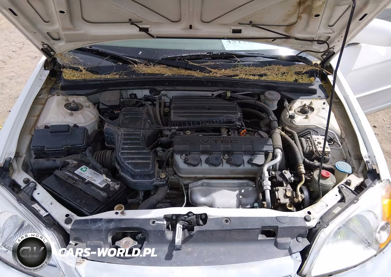 2003 Honda Civic Ex VIN:1HGES26743L025715 - 10