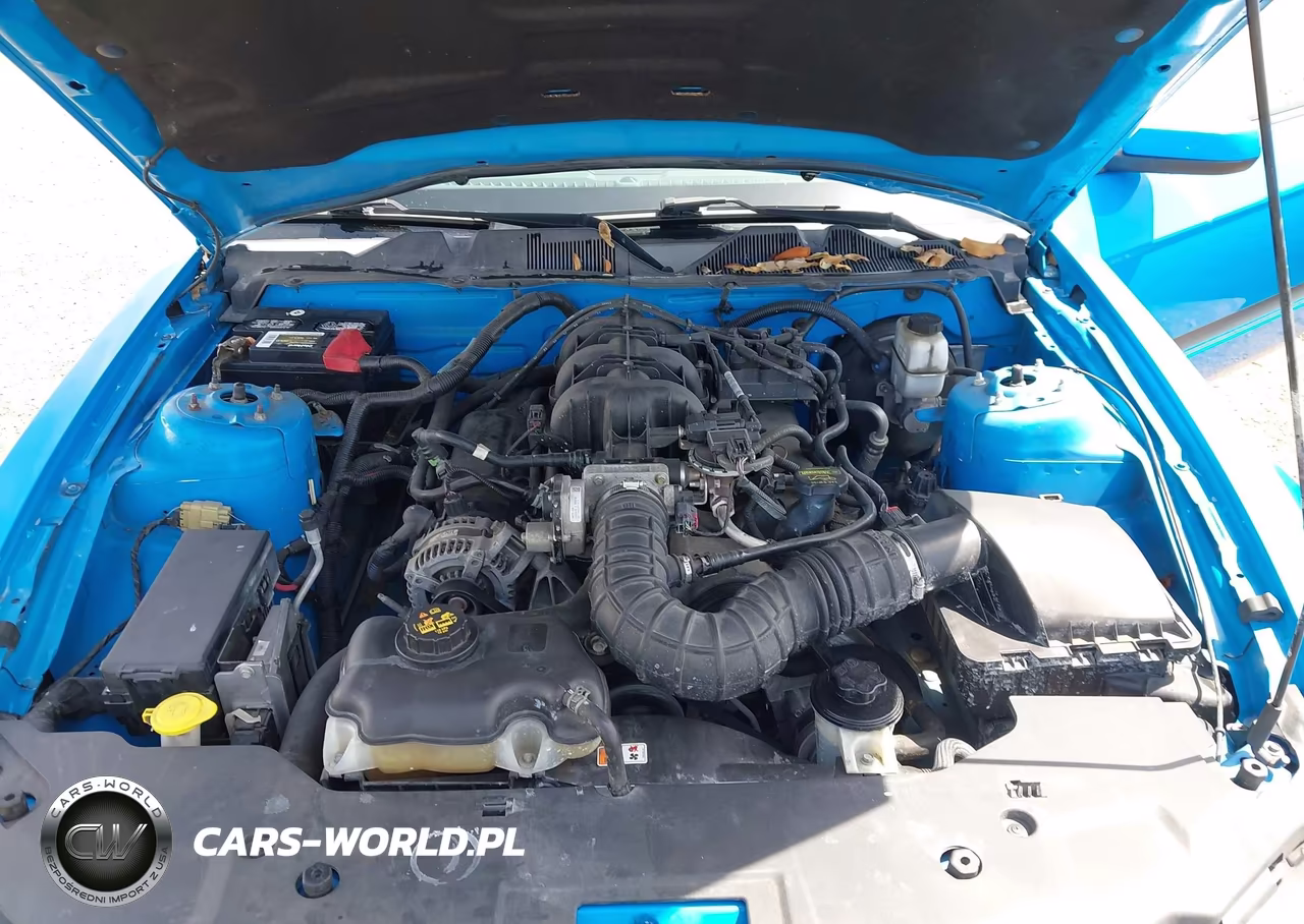 2010 Ford Mustang V6-V6 Premium VIN:1ZVBP8AN2A5143983 - 10