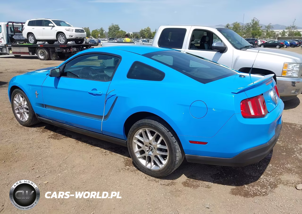 2010 Ford Mustang V6-V6 Premium VIN:1ZVBP8AN2A5143983 - 3