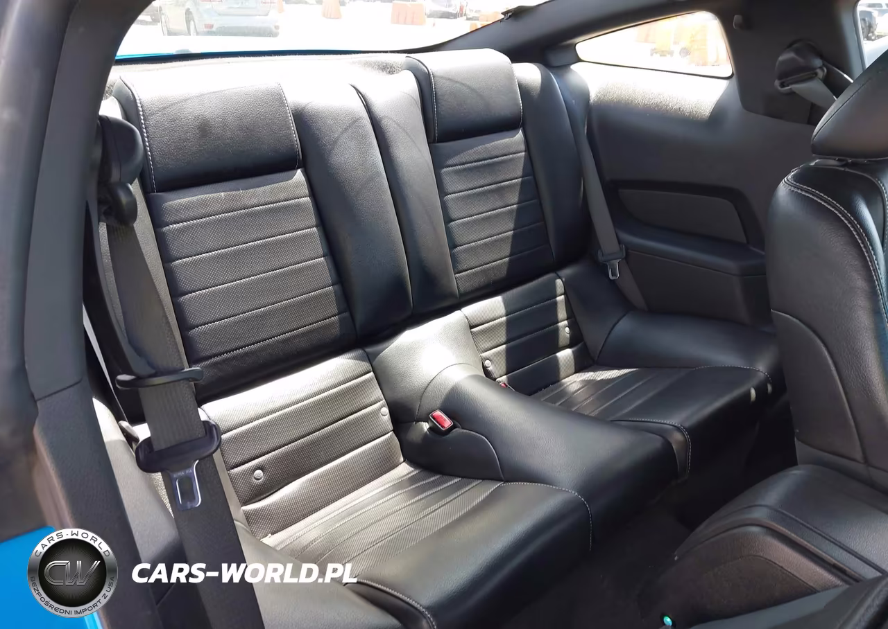 2010 Ford Mustang V6-V6 Premium VIN:1ZVBP8AN2A5143983 - 8