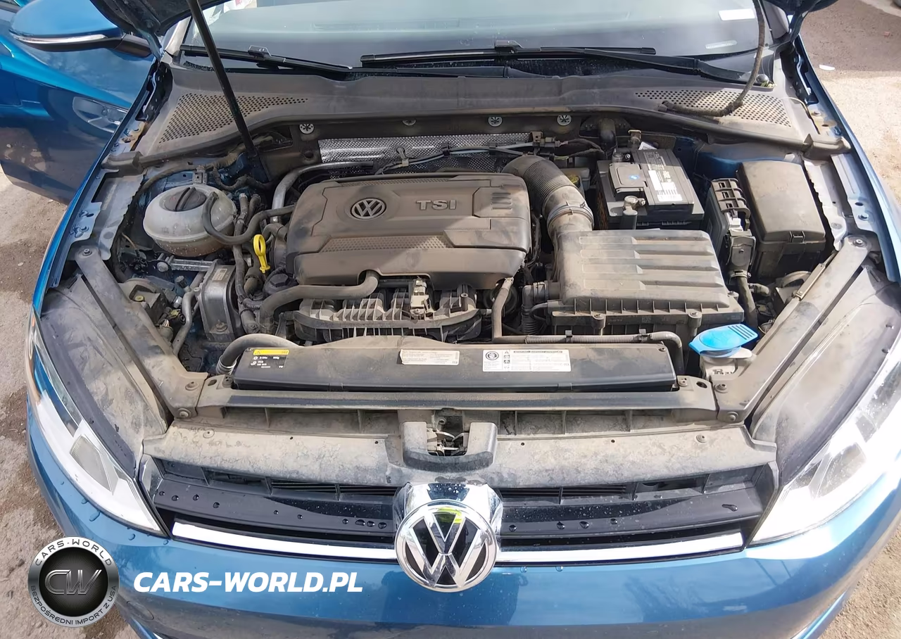 2015 Volkswagen Golf Tsi Sel 4-Door VIN:3VW217AU3FM013389 - 10