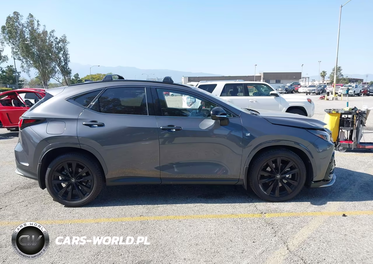 2024 Lexus Nx 450H+ F Sport Handling VIN:JTJKKCFZ1R2022520 - 13