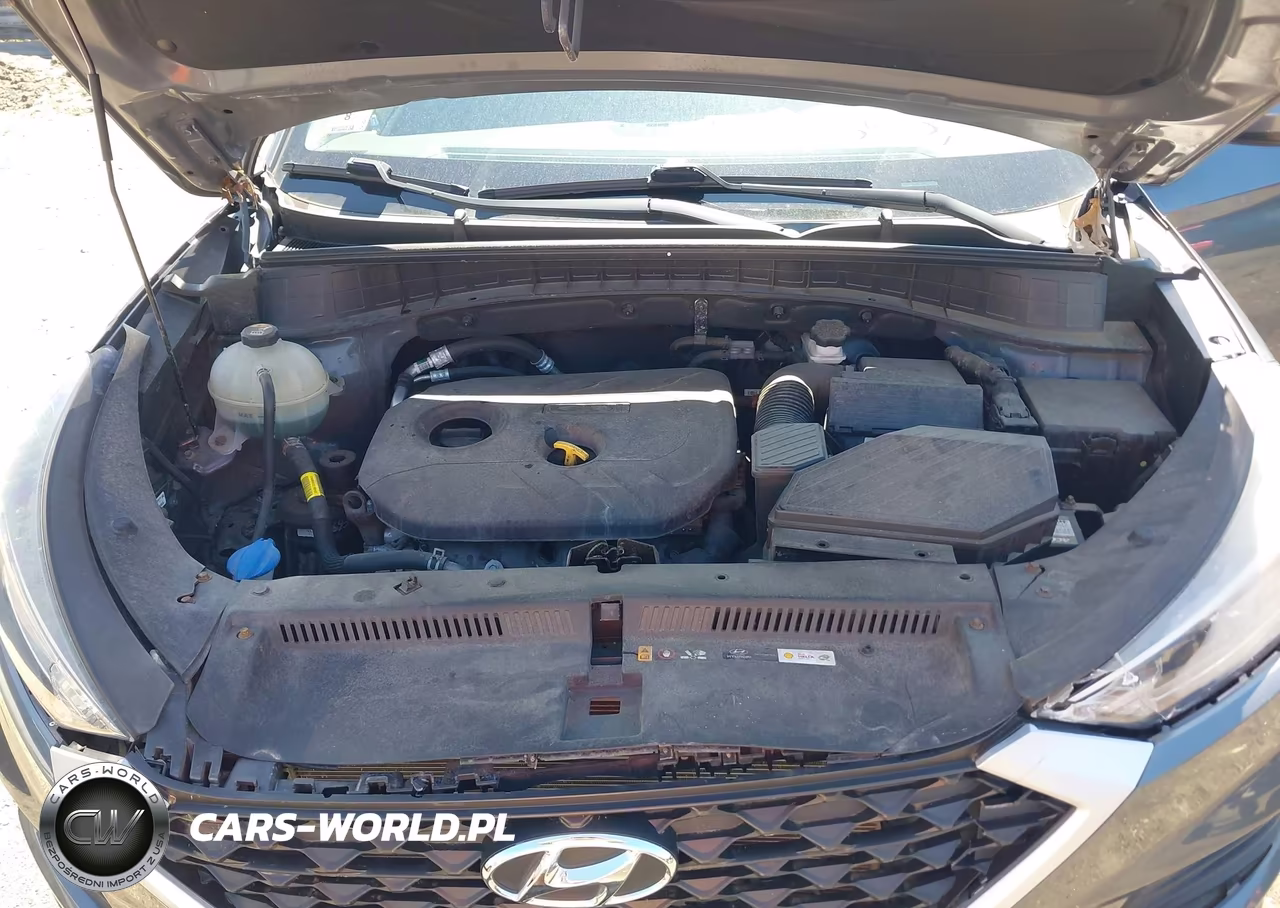 2019 Hyundai Tucson Se VIN:KM8J2CA4XKU869522 - 10